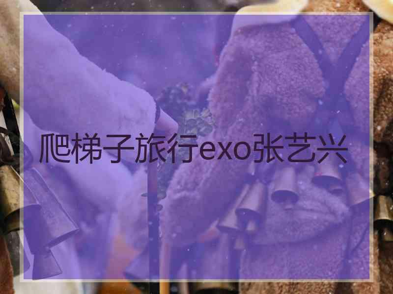 爬梯子旅行exo张艺兴