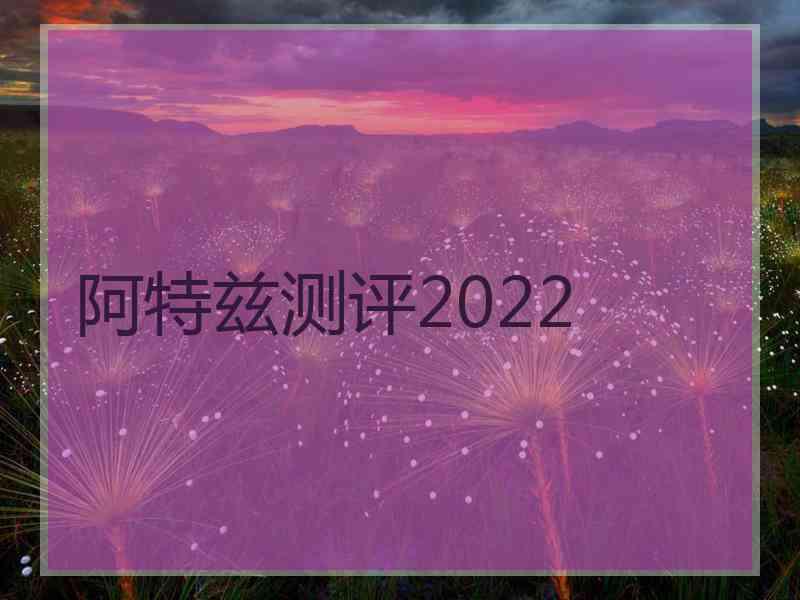 阿特兹测评2022