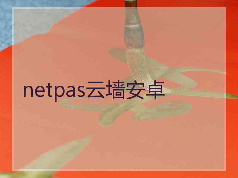 netpas云墙安卓