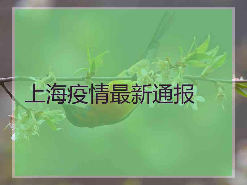 上海疫情最新通报