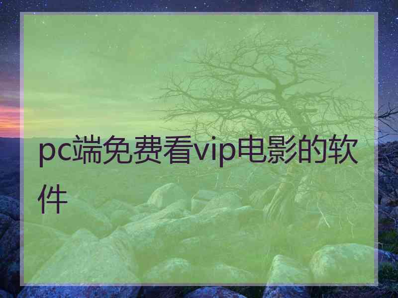 pc端免费看vip电影的软件