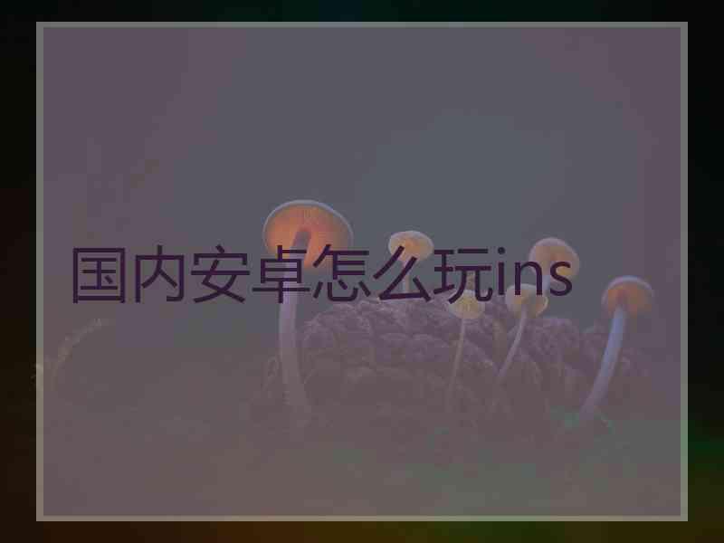 国内安卓怎么玩ins