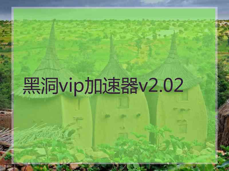 黑洞vip加速器v2.02