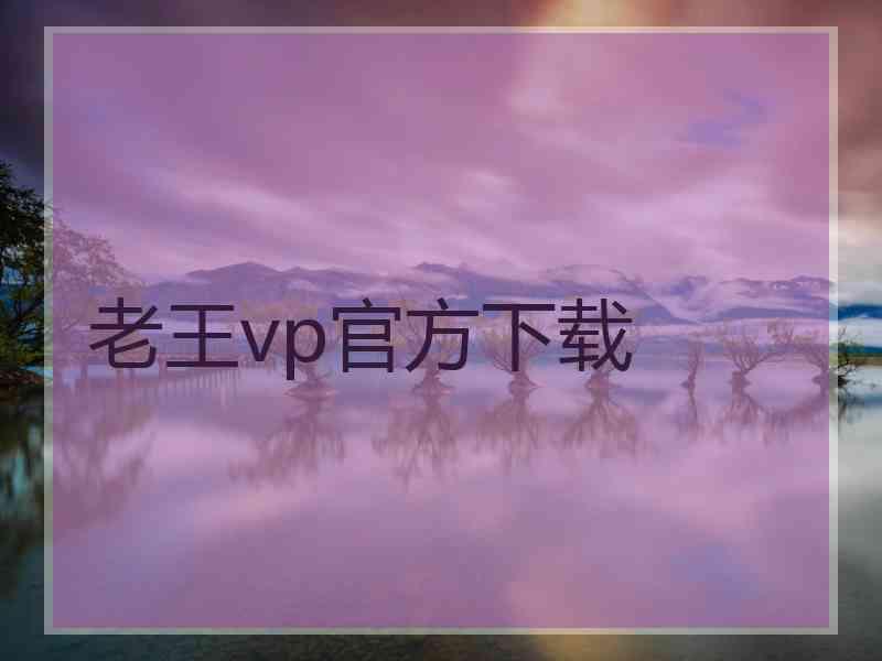 老王vp官方下载