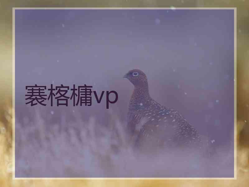 褰楁槦vp