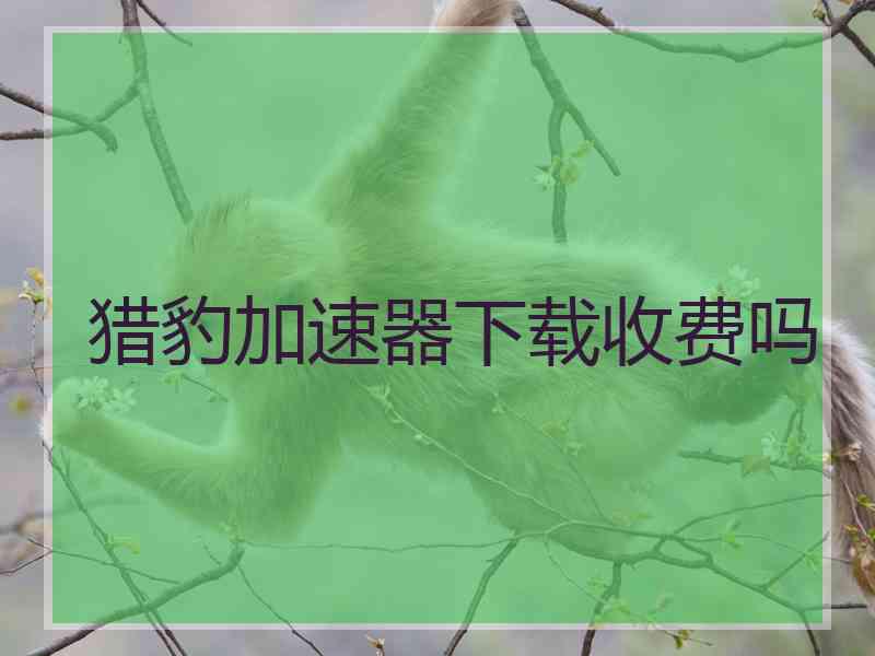 猎豹加速器下载收费吗