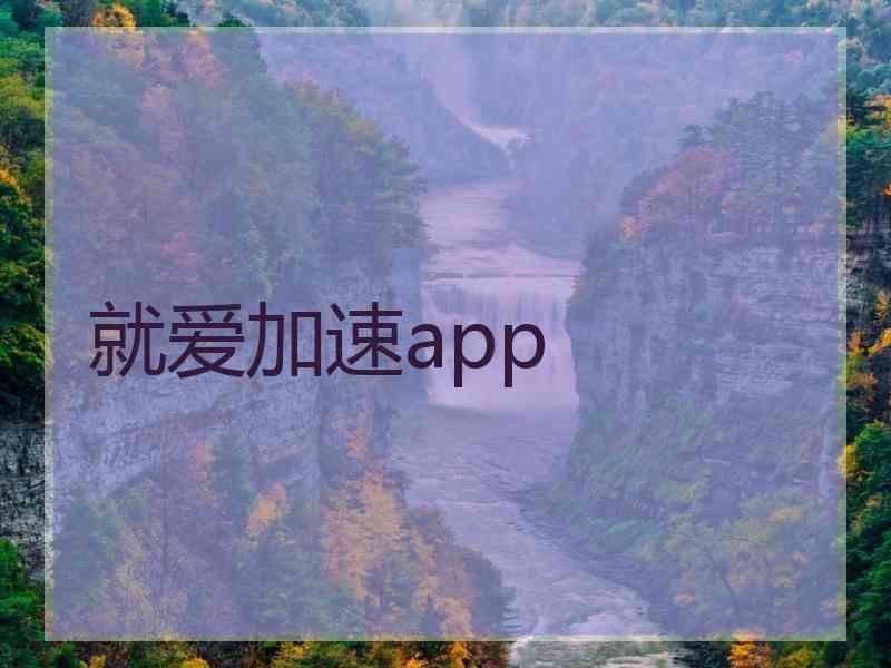 就爱加速app