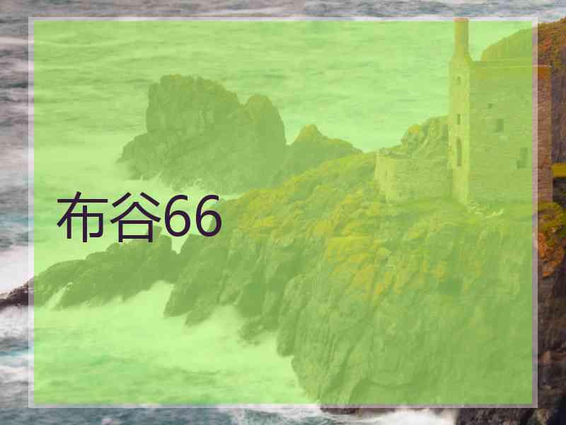 布谷66