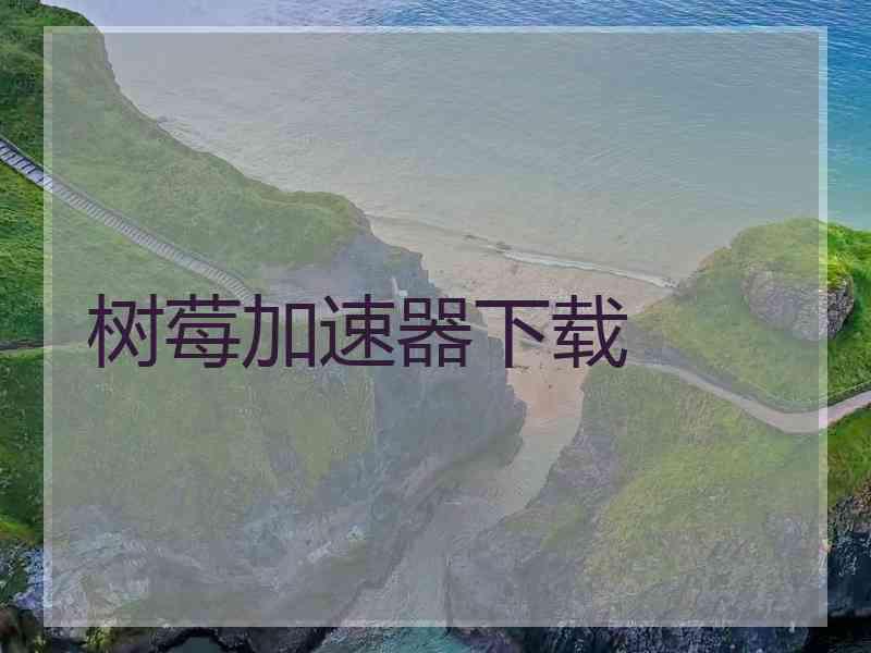 树莓加速器下载