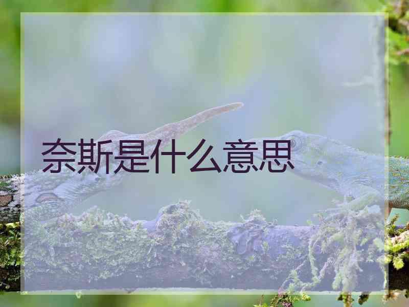 奈斯是什么意思