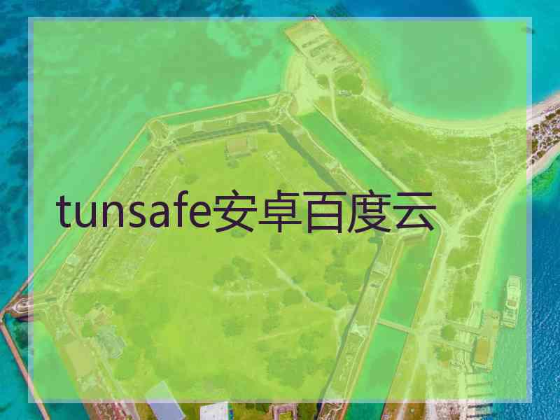 tunsafe安卓百度云