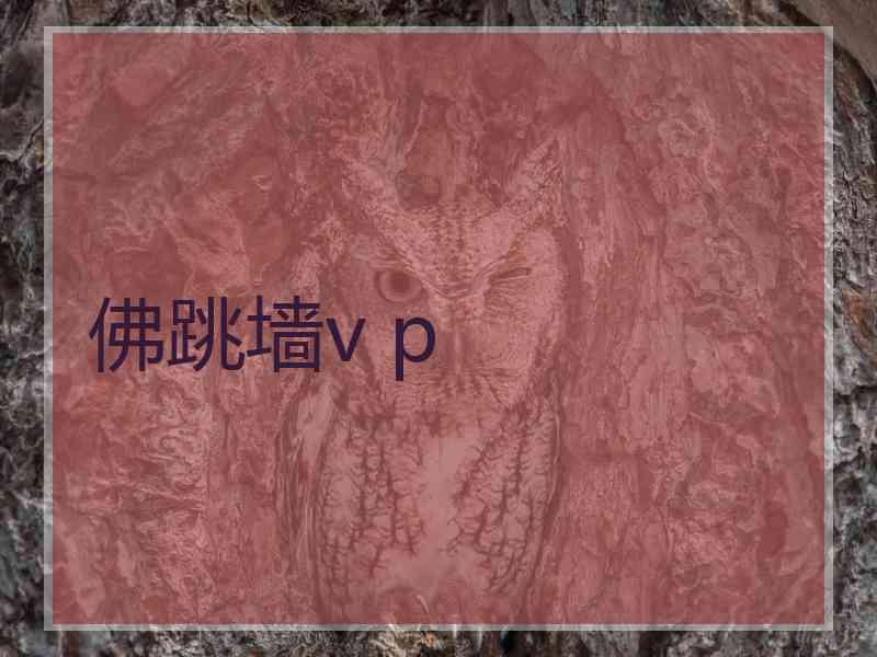 佛跳墙v p