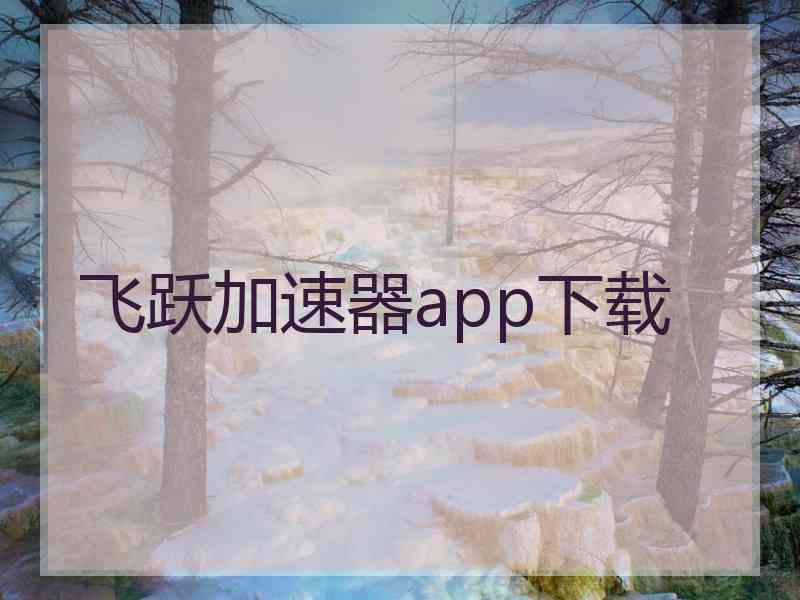 飞跃加速器app下载