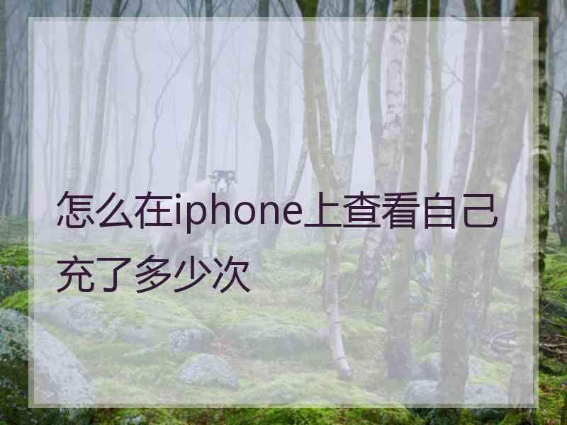 怎么在iphone上查看自己充了多少次