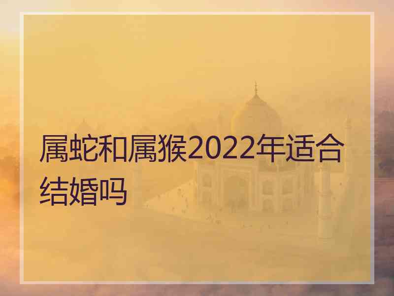 属蛇和属猴2022年适合结婚吗