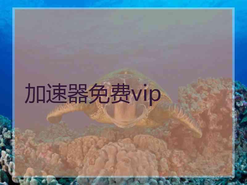 加速器免费vip