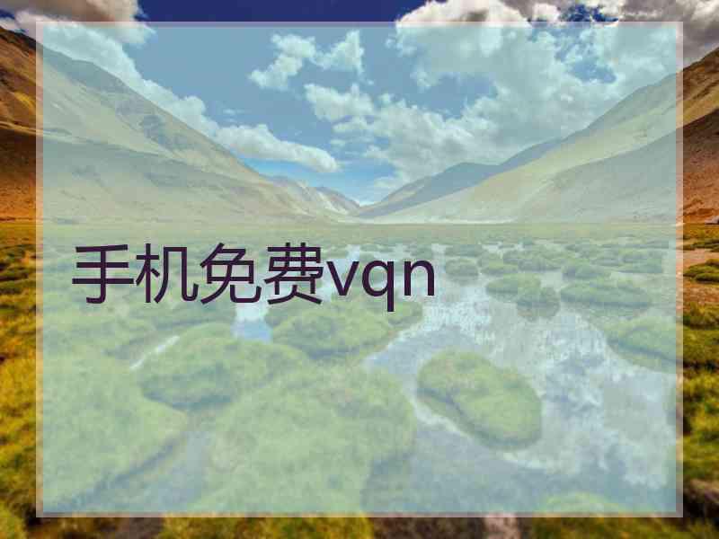 手机免费vqn