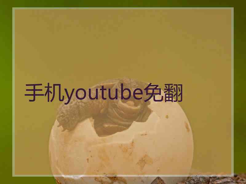 手机youtube免翻