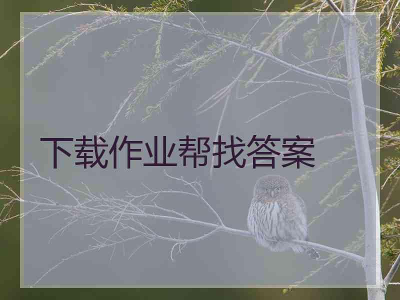 下载作业帮找答案