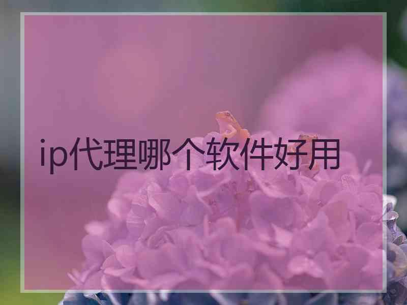 ip代理哪个软件好用