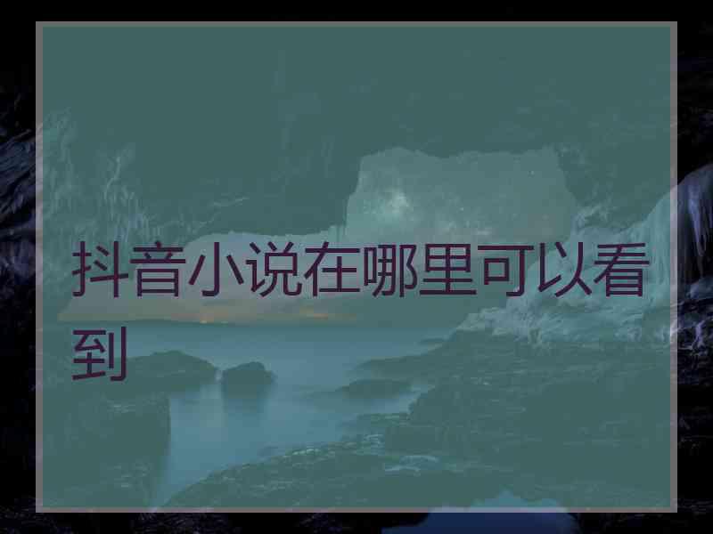 抖音小说在哪里可以看到