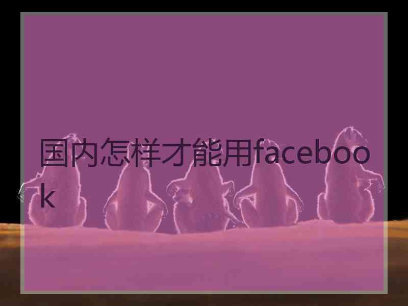 国内怎样才能用facebook