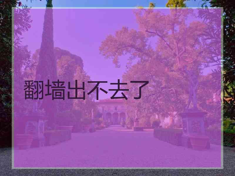 翻墙出不去了