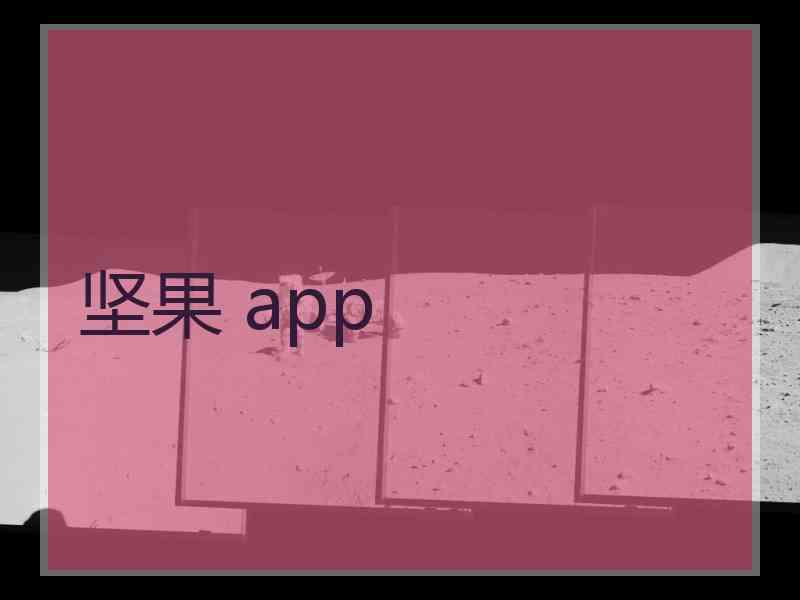 坚果 app