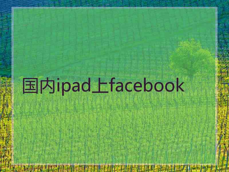 国内ipad上facebook