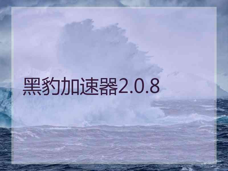 黑豹加速器2.0.8