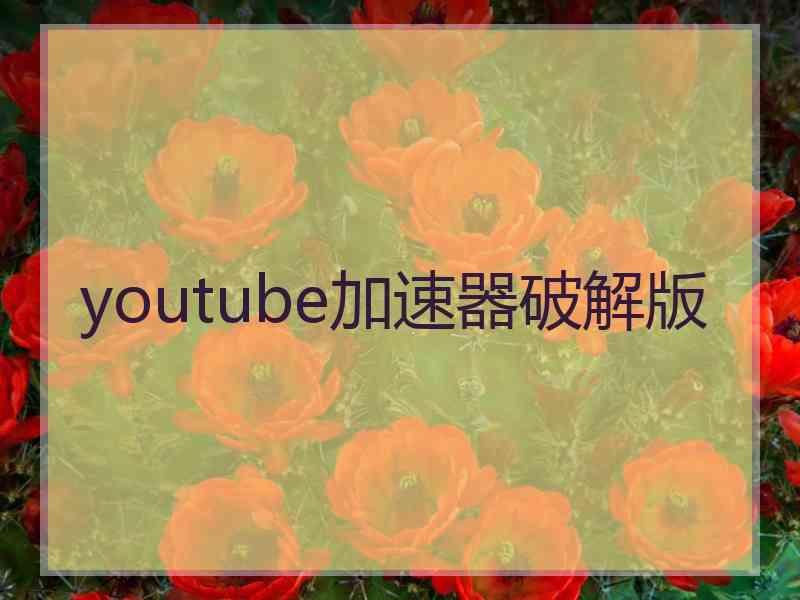 youtube加速器破解版