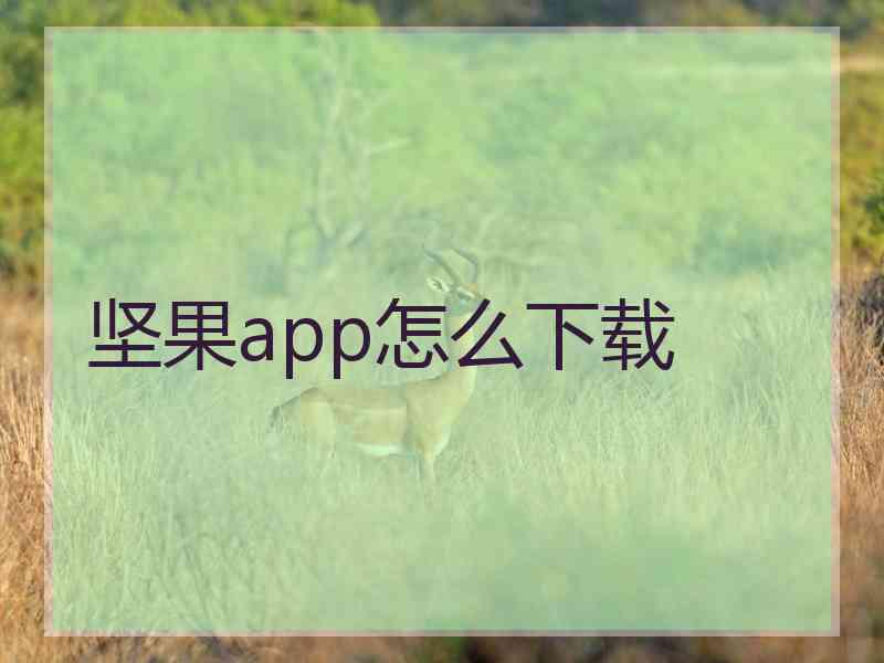 坚果app怎么下载