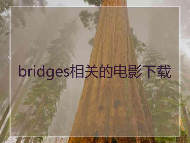 bridges相关的电影下载