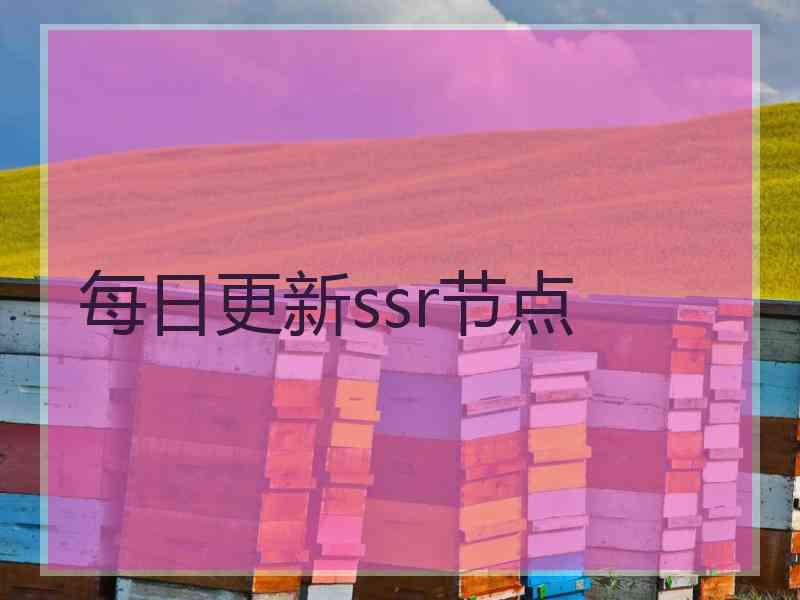 每日更新ssr节点