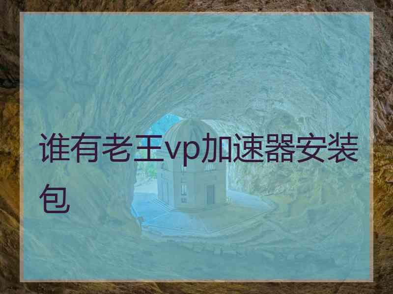 谁有老王vp加速器安装包