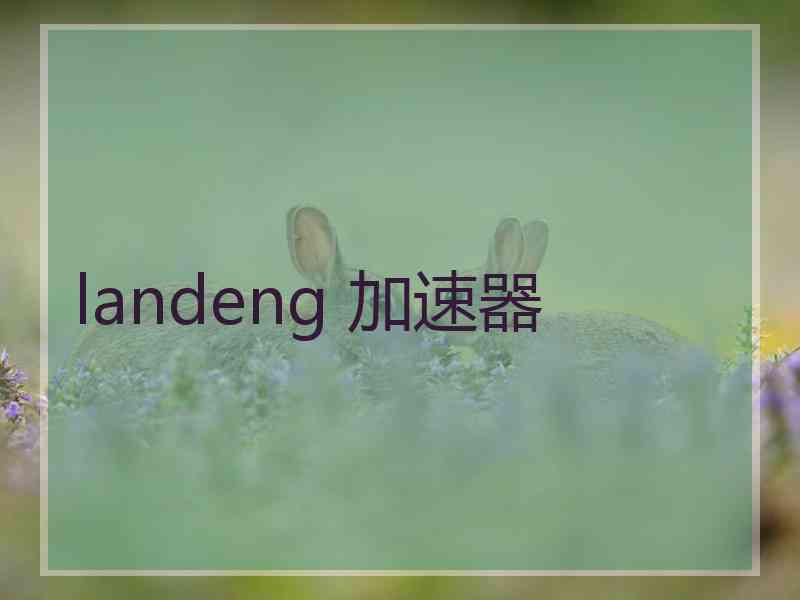 landeng 加速器