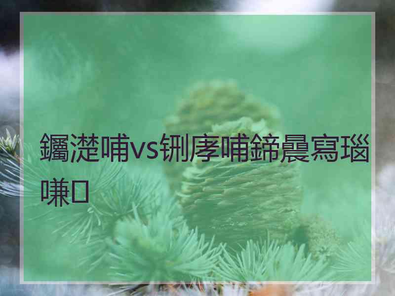 钃濋哺vs铏庨哺鍗曟寫瑙嗛