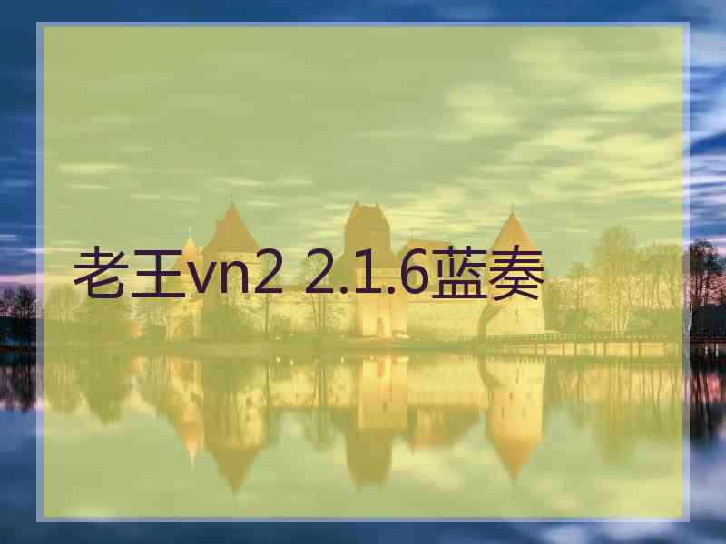 老王vn2 2.1.6蓝奏