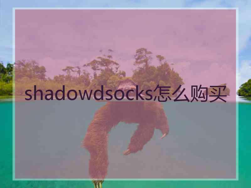 shadowdsocks怎么购买