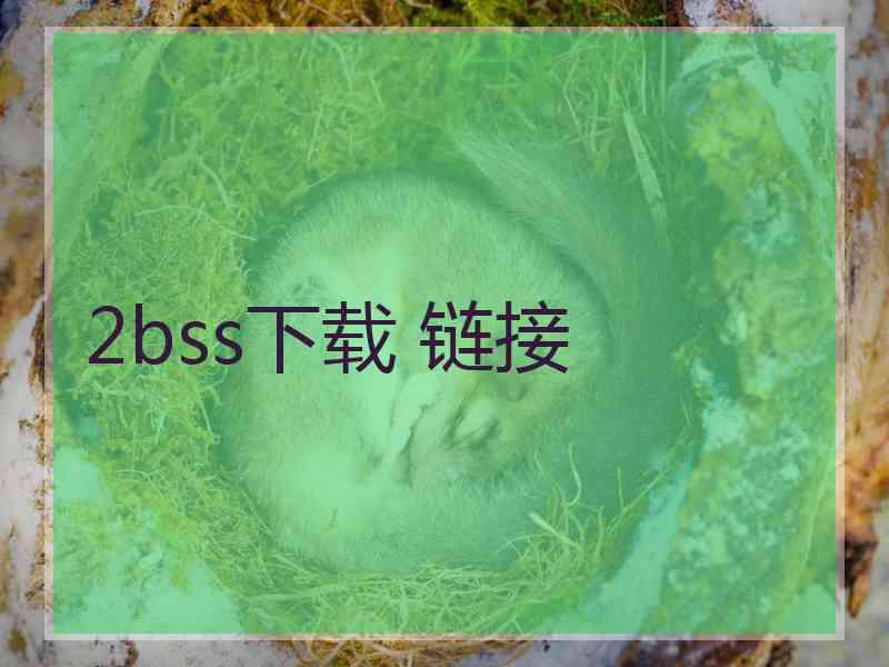 2bss下载 链接