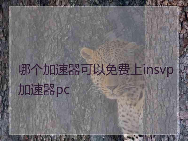 哪个加速器可以免费上insvp加速器pc