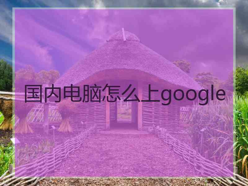 国内电脑怎么上google