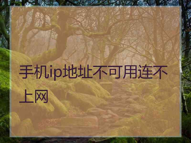 手机ip地址不可用连不上网