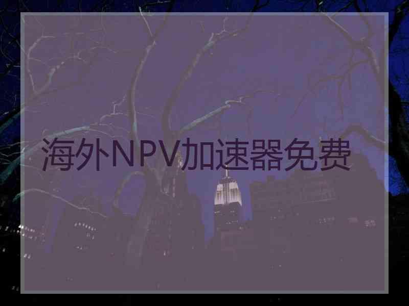 海外NPV加速器免费