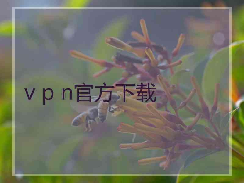 v p n官方下载