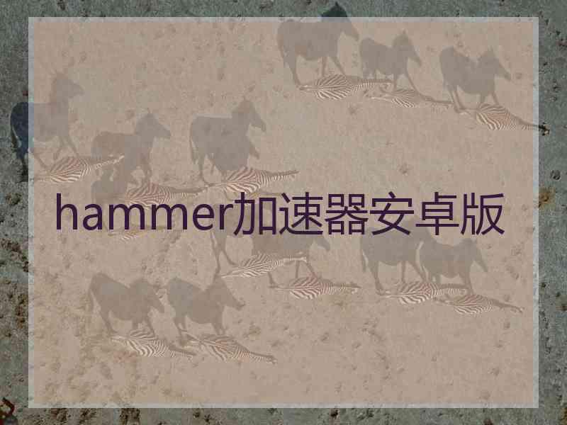 hammer加速器安卓版