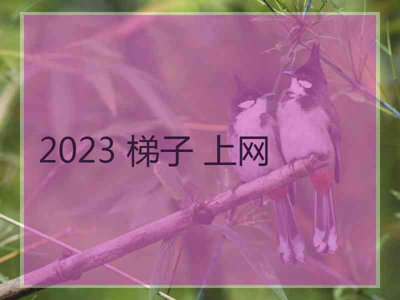 2023 梯子 上网