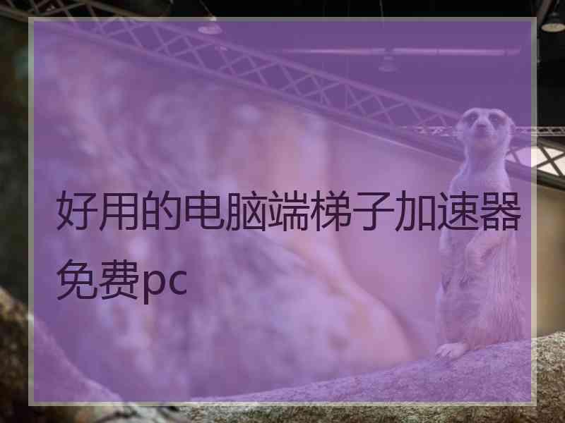 好用的电脑端梯子加速器免费pc