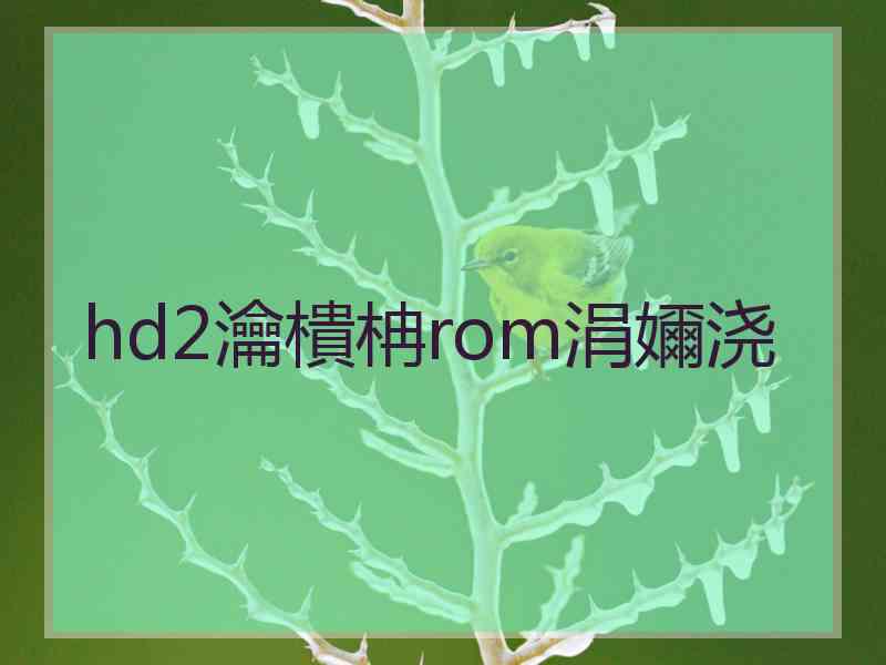 hd2瀹樻柟rom涓嬭浇