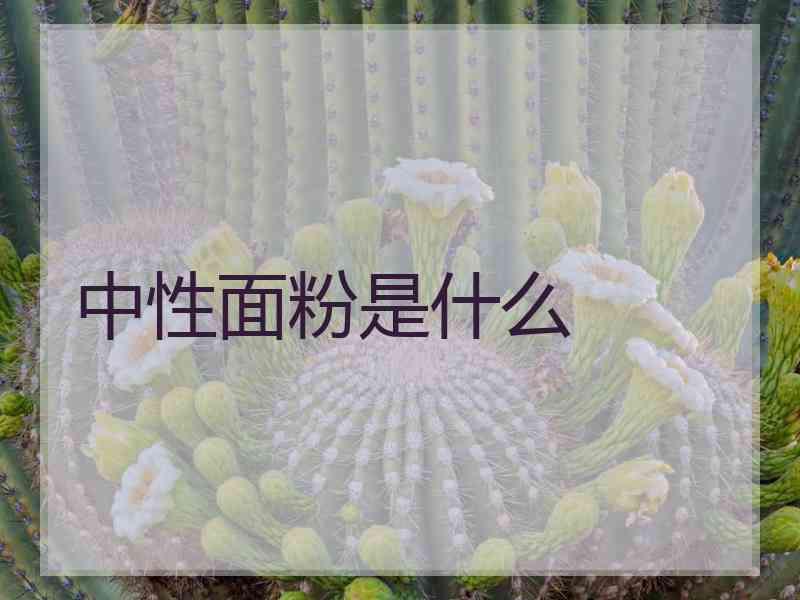 中性面粉是什么